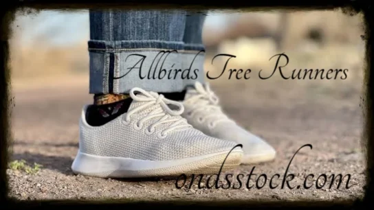 Allbirds Tree Runners