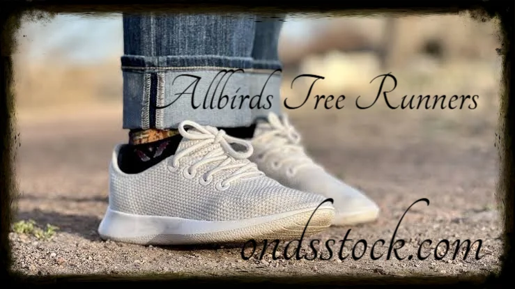 Allbirds Tree Runners