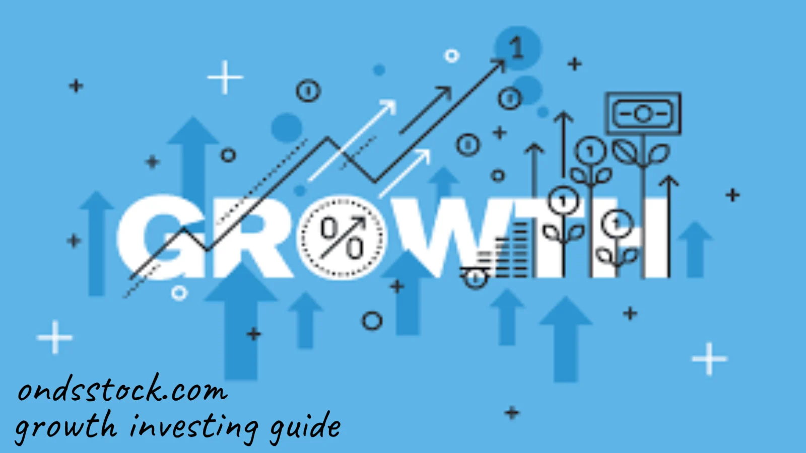 growth investing guide