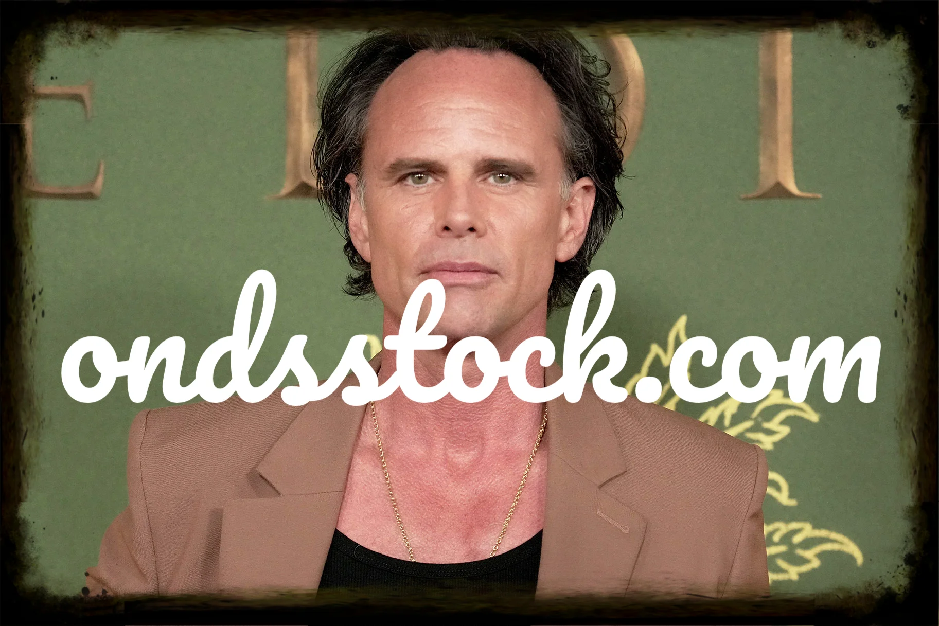 Sons of Anarchy Walton Goggins