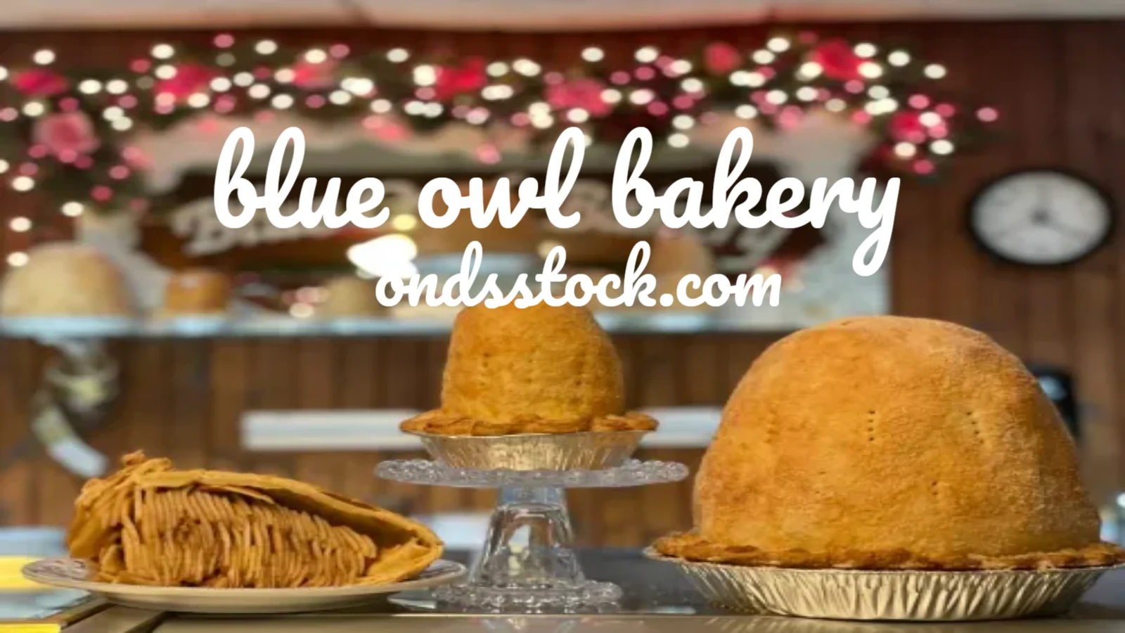 blue owl bakery