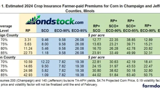 Current Price of Corn Per Bushel