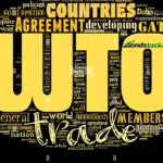 WTO Stock: Price, Forecast, Risks and 2026 Outlook