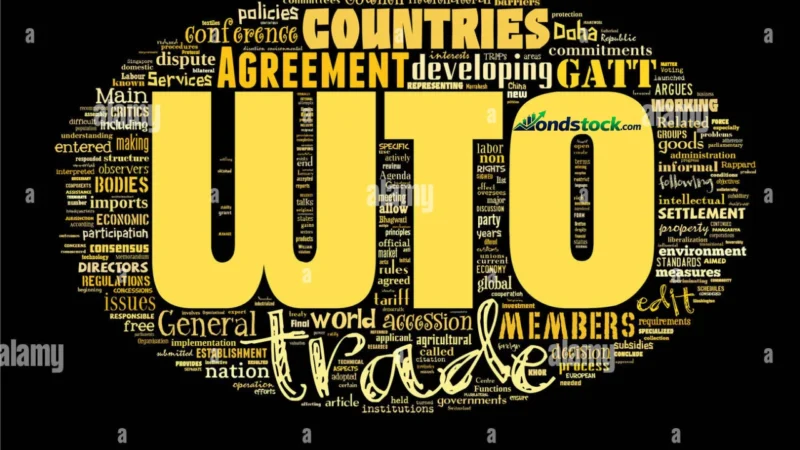 WTO Stock: Price, Forecast, Risks and 2026 Outlook