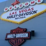 LVHD Stock Price: Check the Latest Quote and 52-Week Range