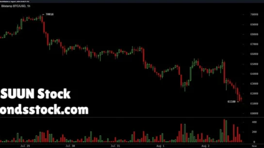 SUUN Stock